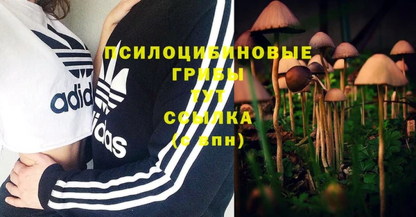MDMA Premium VHQ Алексеевка