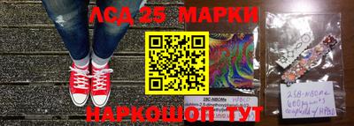 гидра Волгодонск