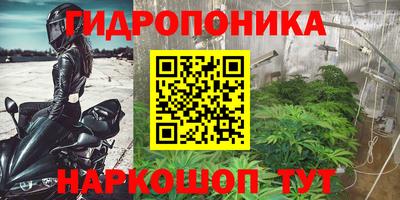 гидра Волгодонск